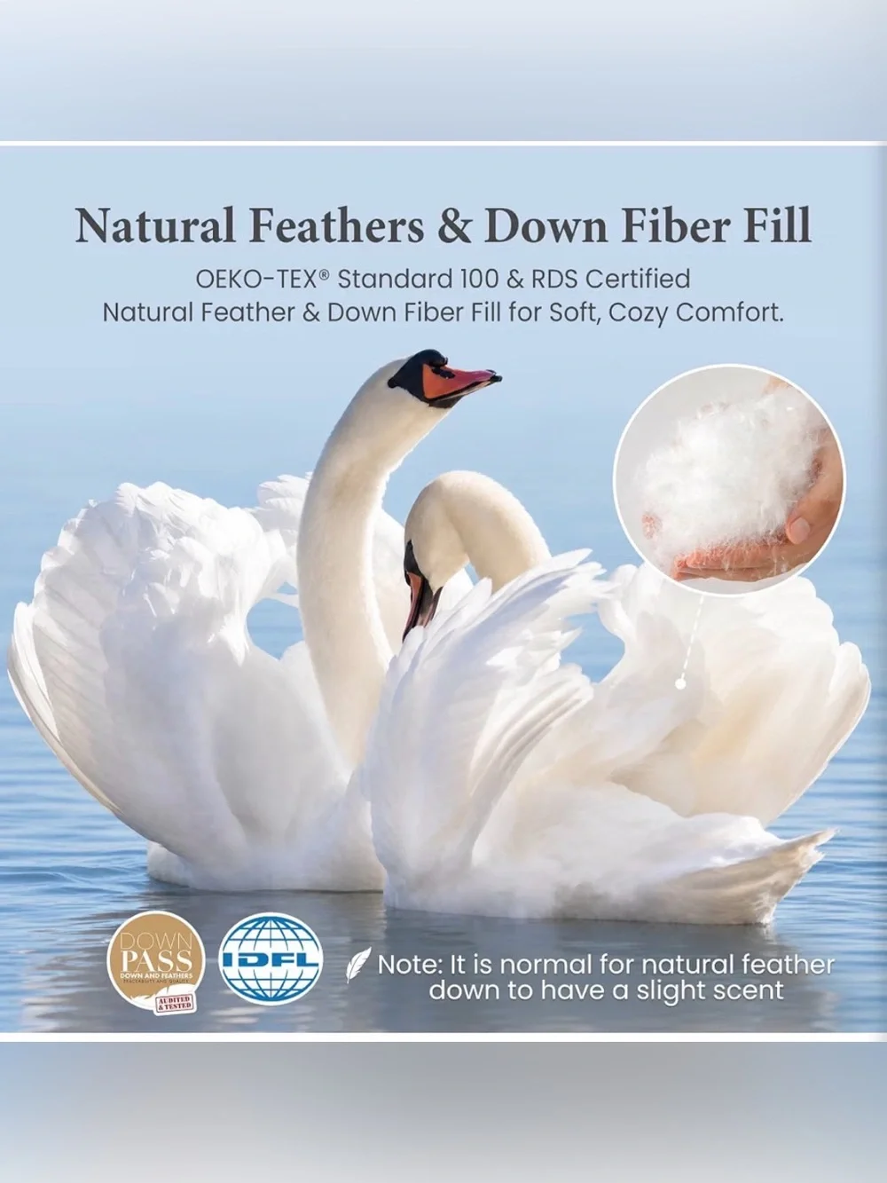 Joysoul Goose Feather Down Comforter Duvet Queen